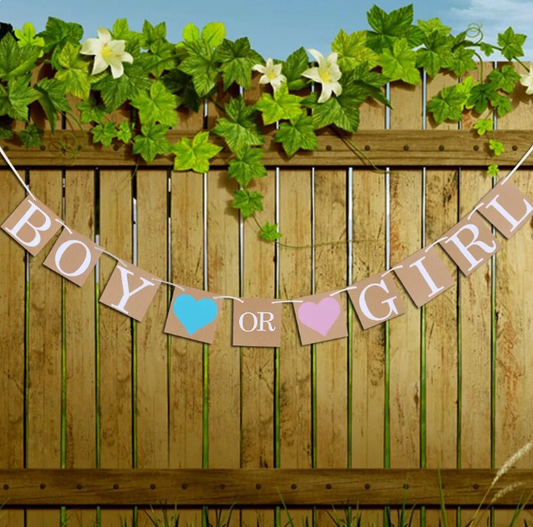 Banderín boy or girl kraft