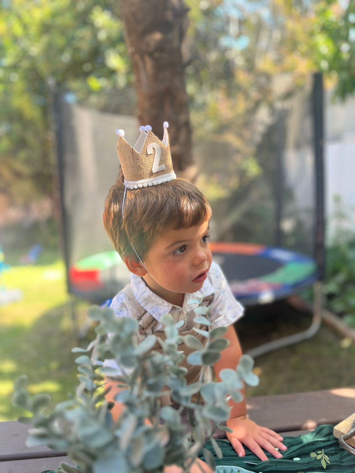 Corona cumpleaños 2 años