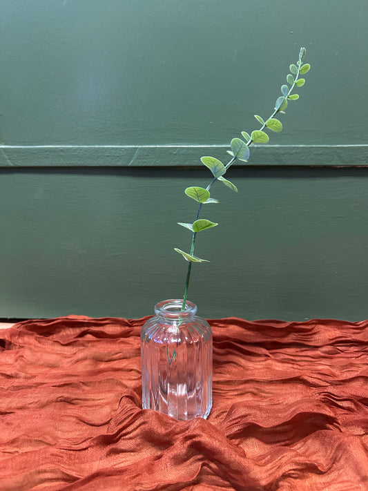 Botella 10