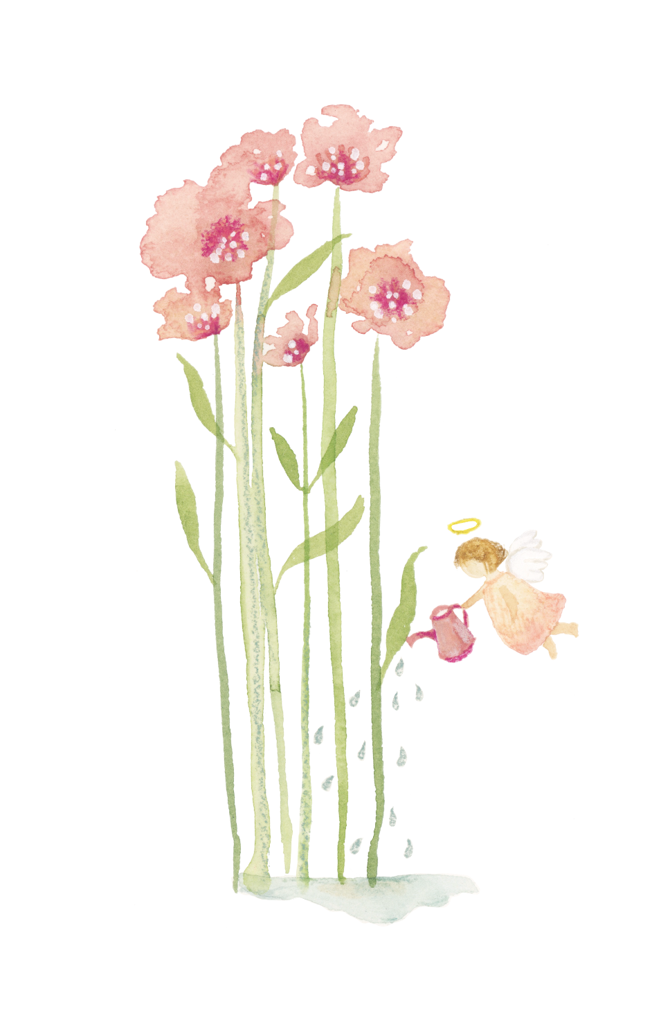 Santito ilustrado por BERNIE flores