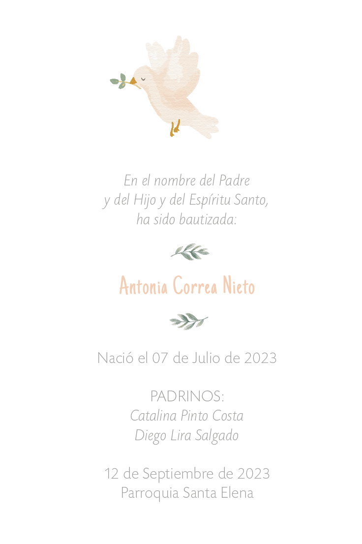Santito espíritu santo bautizo