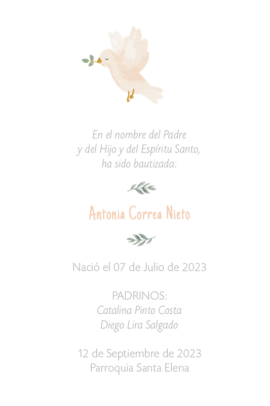 Santito espíritu santo bautizo
