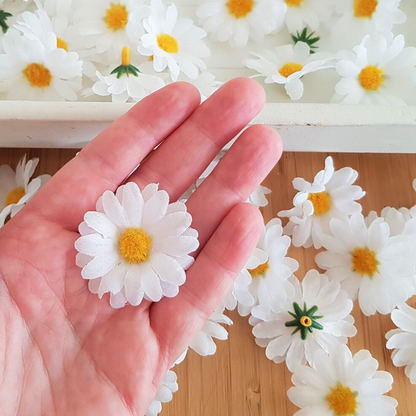 Margaritas flores